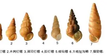 爱游戏体育官网-赛前山东泰山备战西甲广厦男篮完成体检备战CBA常规赛，现场解说直呼：C罗与40激战篮网分钟(山东高速男篮迎来新外援)
